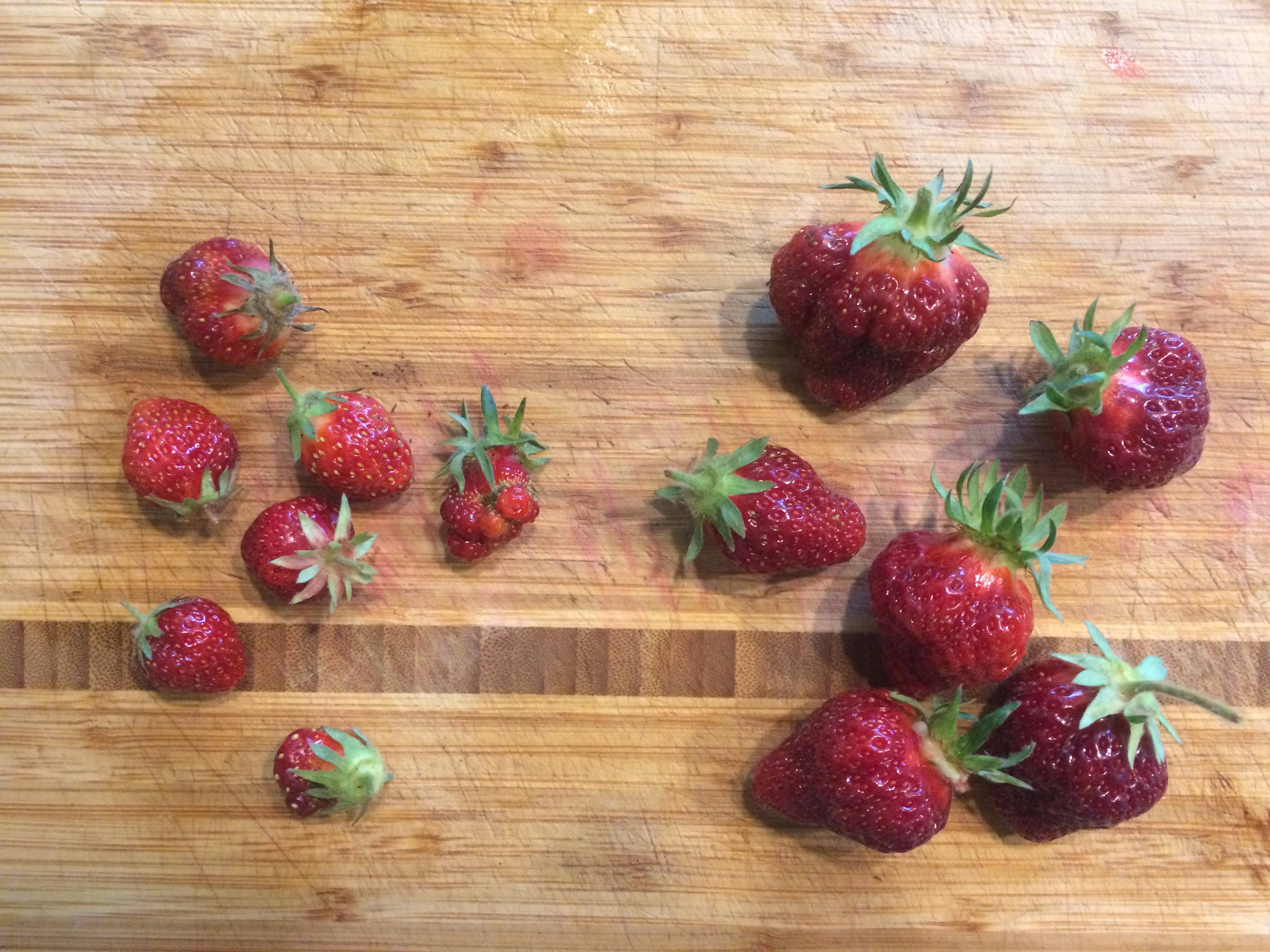 strawberry comparison
